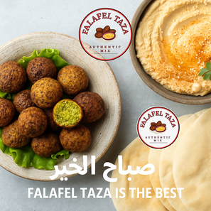 Bowl of falafel with a side of hummus on a light gray background, featuring Falafel Taza Mix Special 